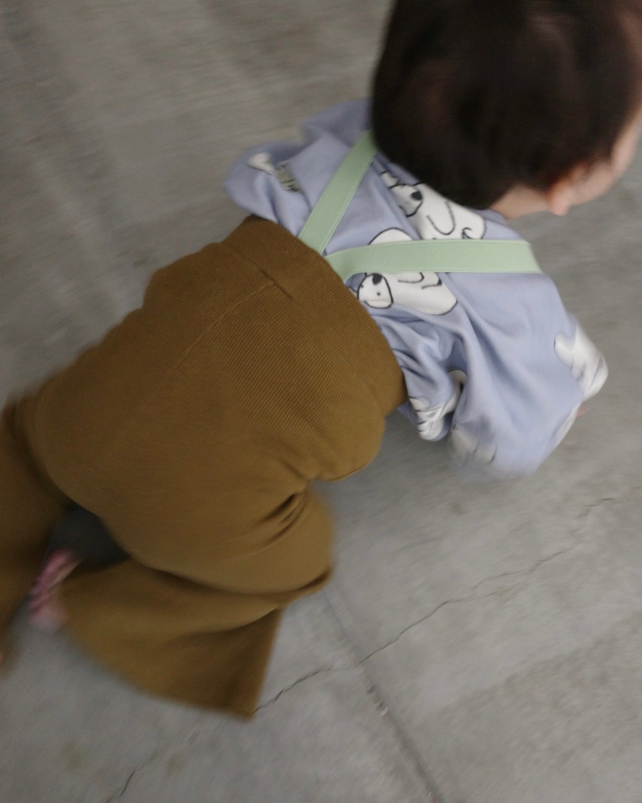 paperbalm Koala sweat