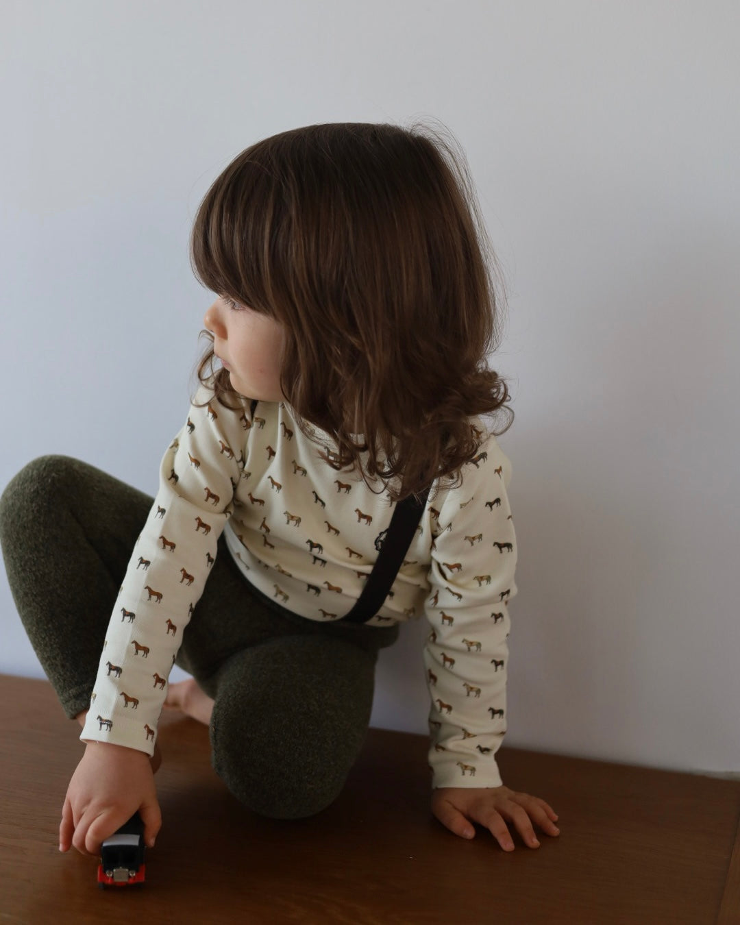 【2026 s/s 1st delivery】POIMERI pony parade tops