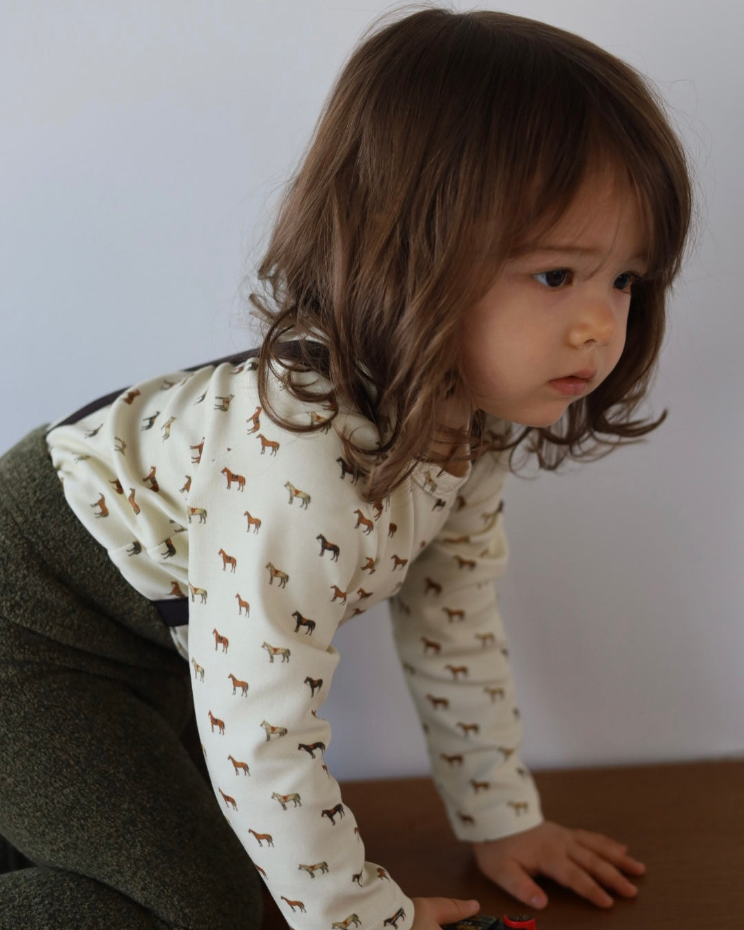 【2026 s/s 1st delivery】POIMERI pony parade tops