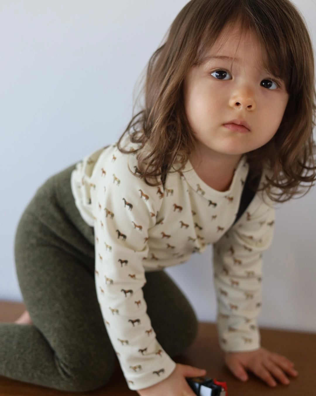 【2026 s/s 1st delivery】POIMERI pony parade tops