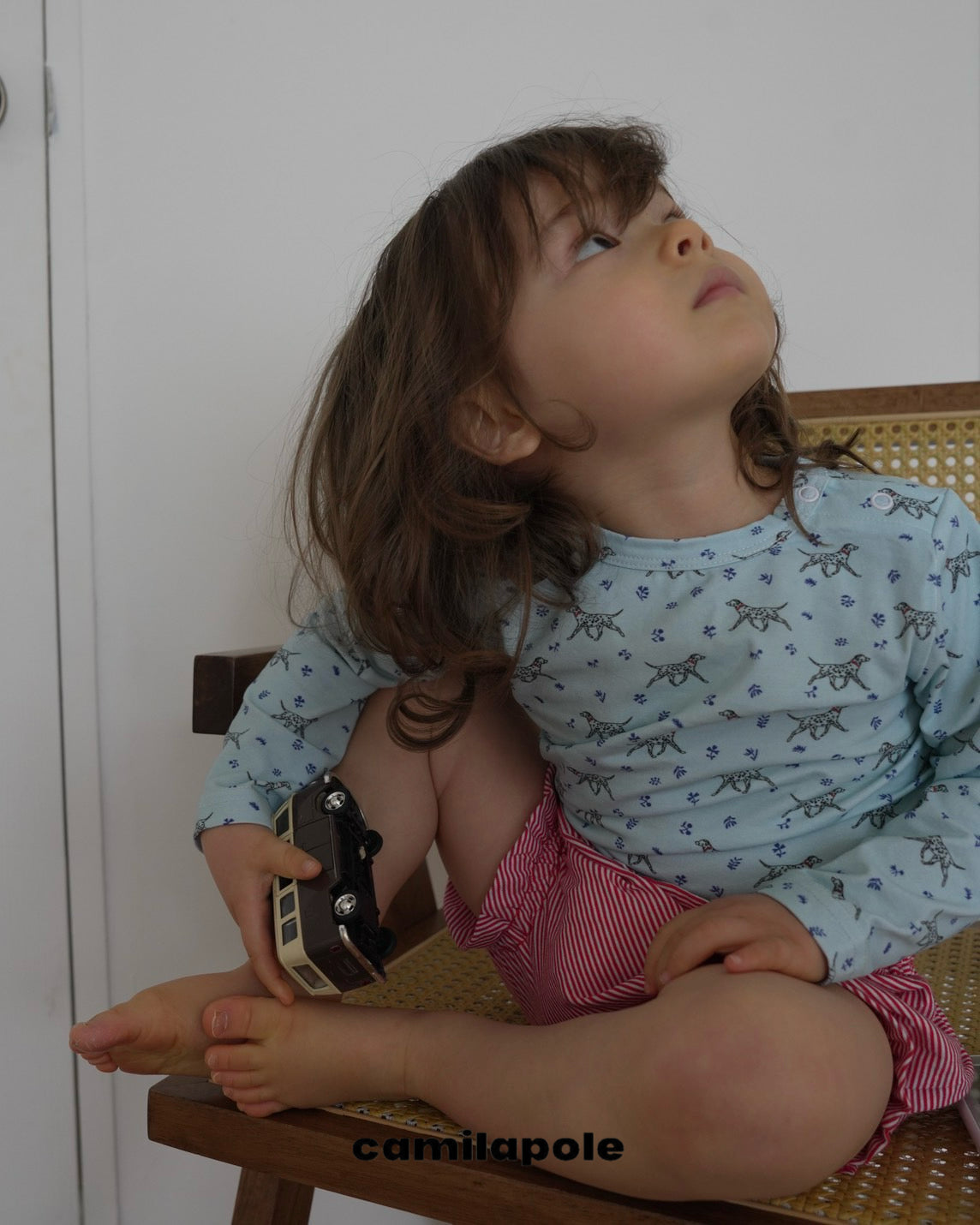 camilapole Dalmatian Day Top