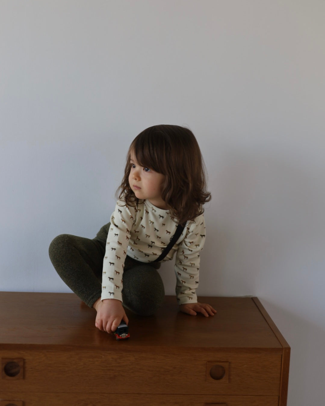 【2026 s/s 1st delivery】POIMERI pony parade tops