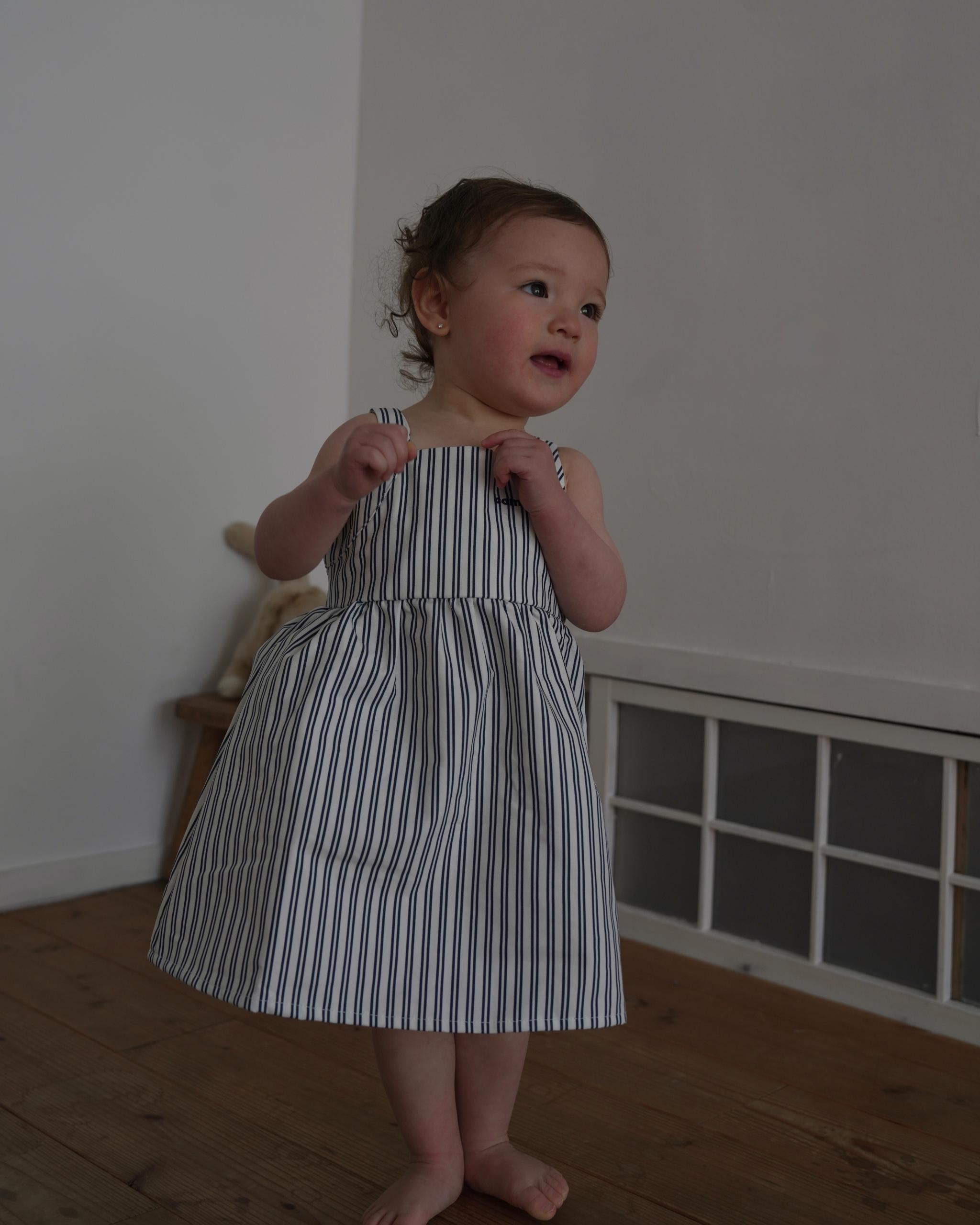 camilapole Ink Stripe Dress