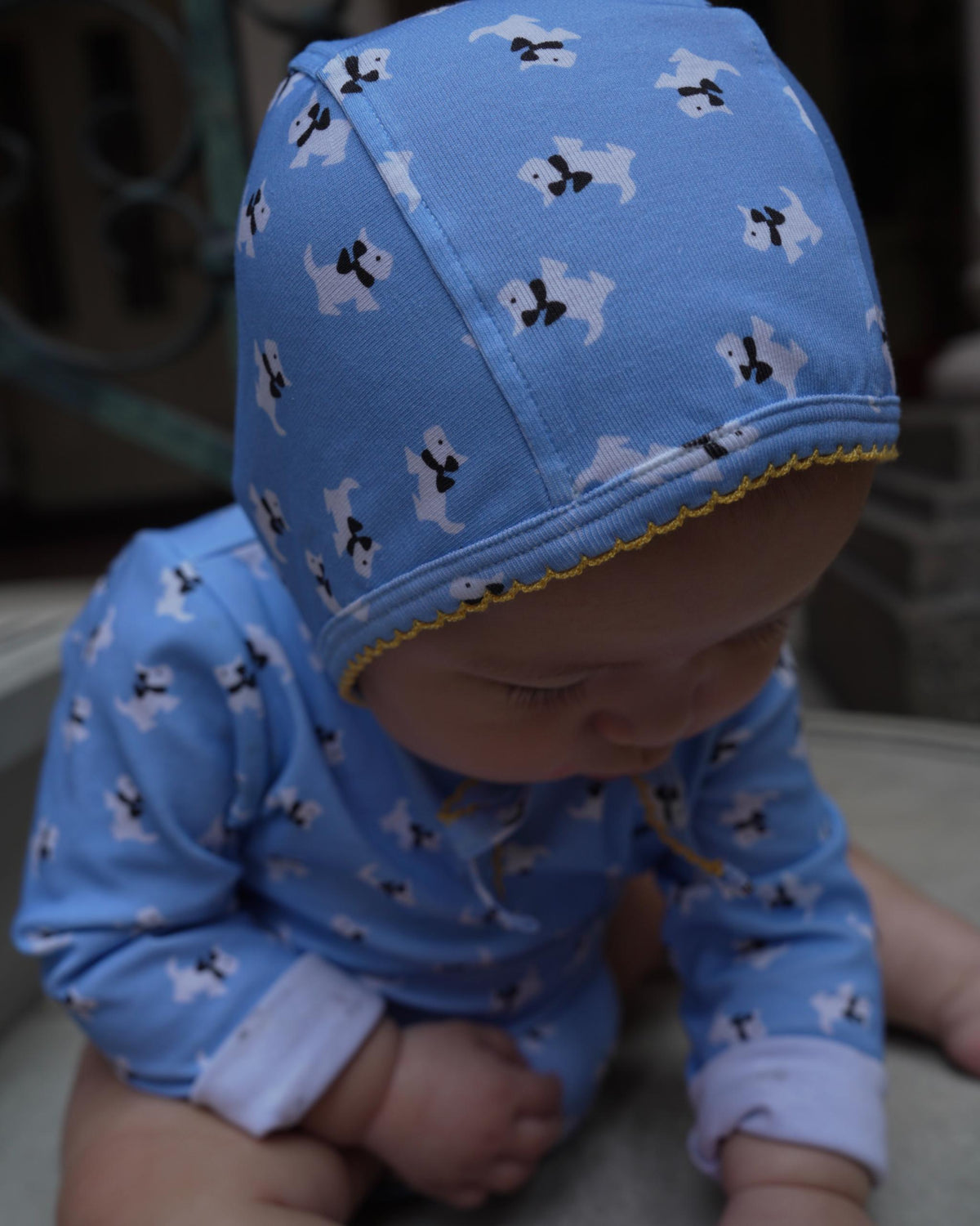 【POPUP先行/10.16 NEW】CAMILAPOLE SCHNAUZER CLUB BONNET