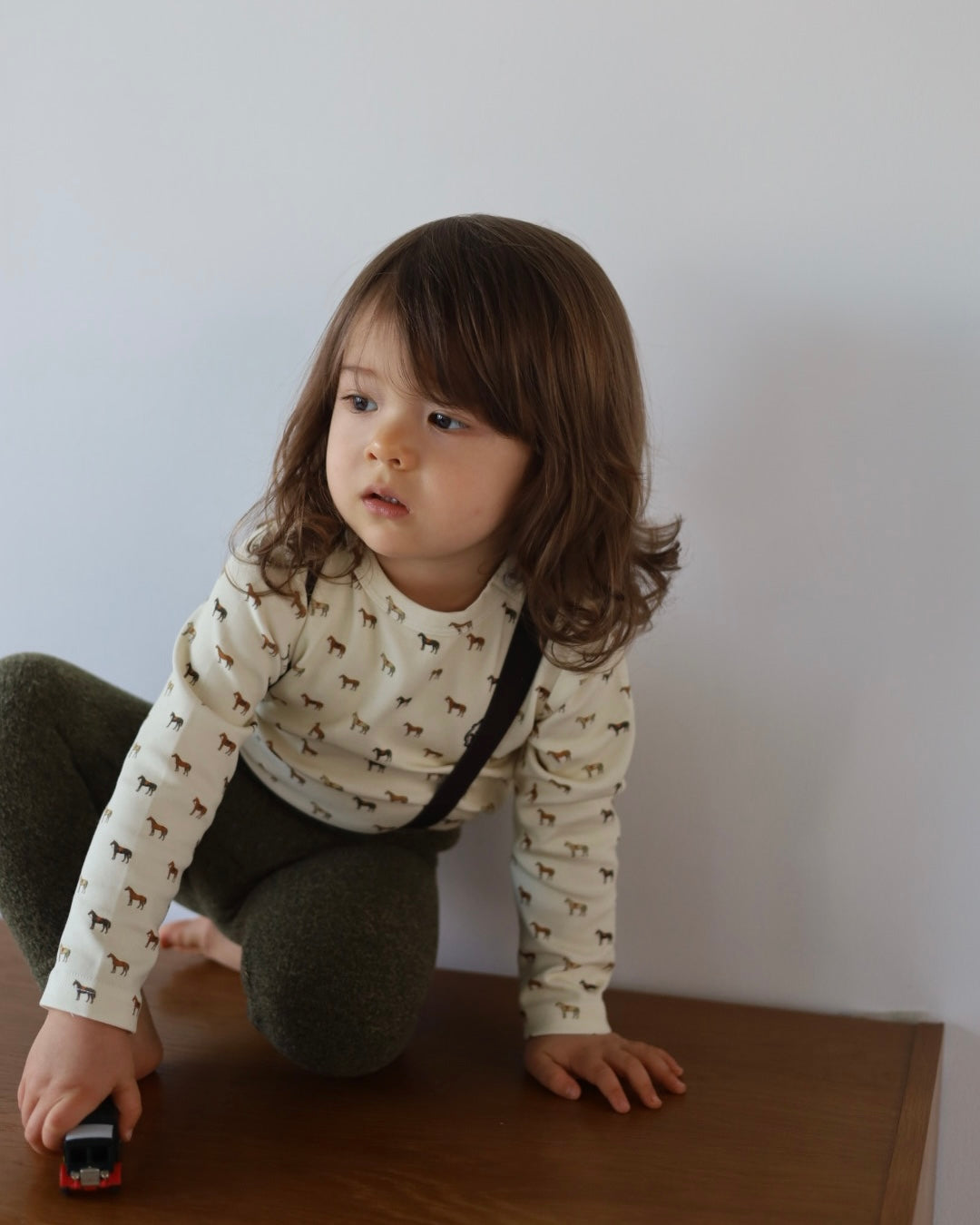 【2026 s/s 1st delivery】POIMERI pony parade tops