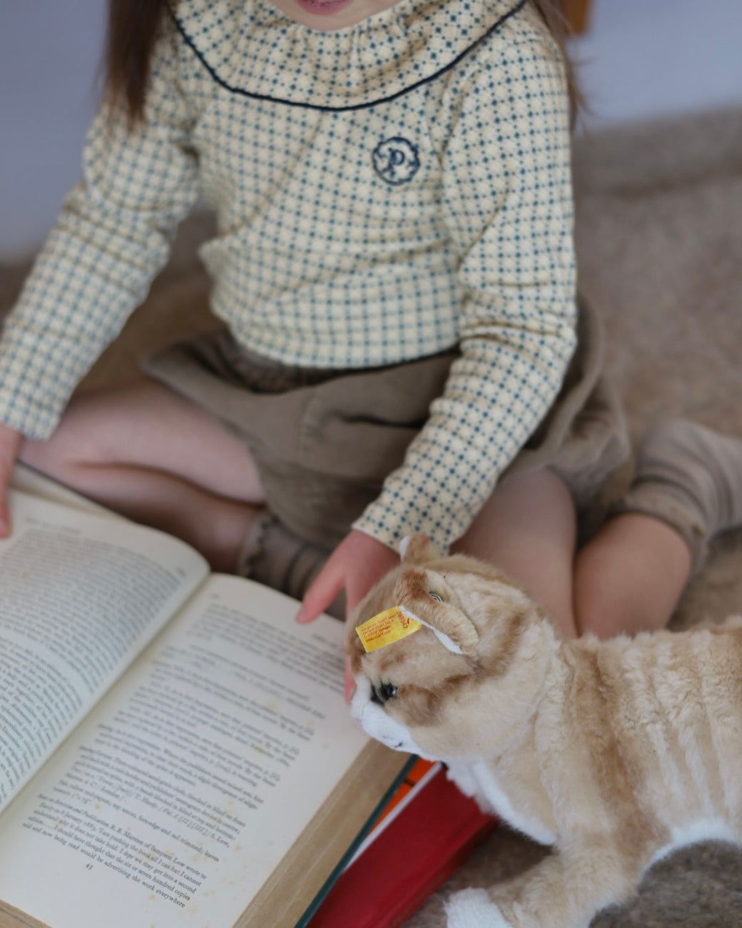 【2026 s/s 1st delivery】POIMERI star check tops