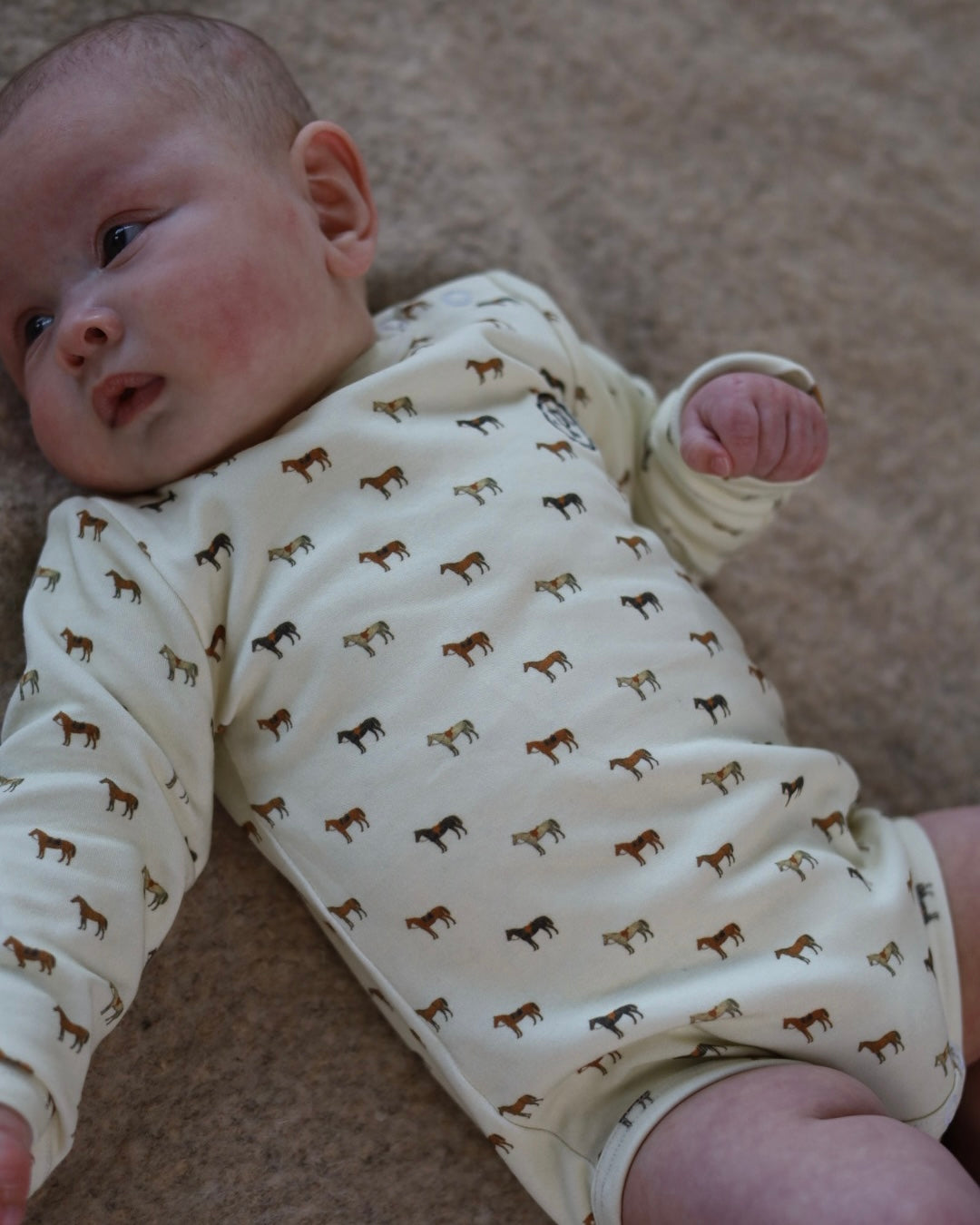 【2026 s/s 1st delivery】POIMERI pony parade rompers