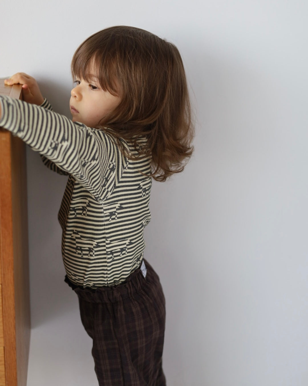 【2026 s/s 1st delivery】POIMERI pony boarder tops