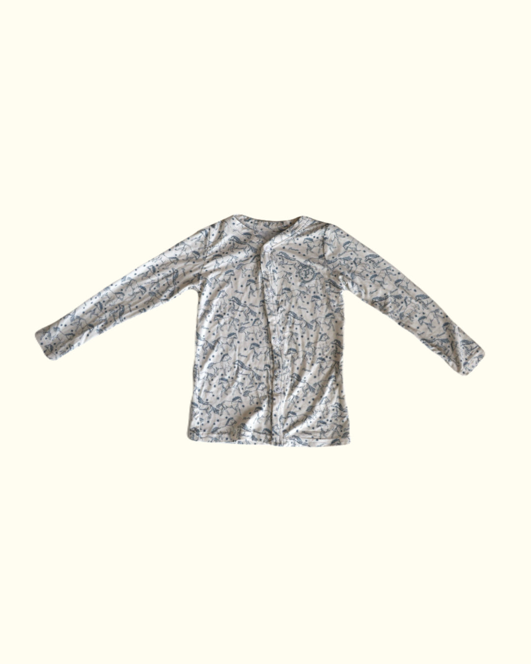 【2026 s/s 1st delivery】POIMERI pony robin tops