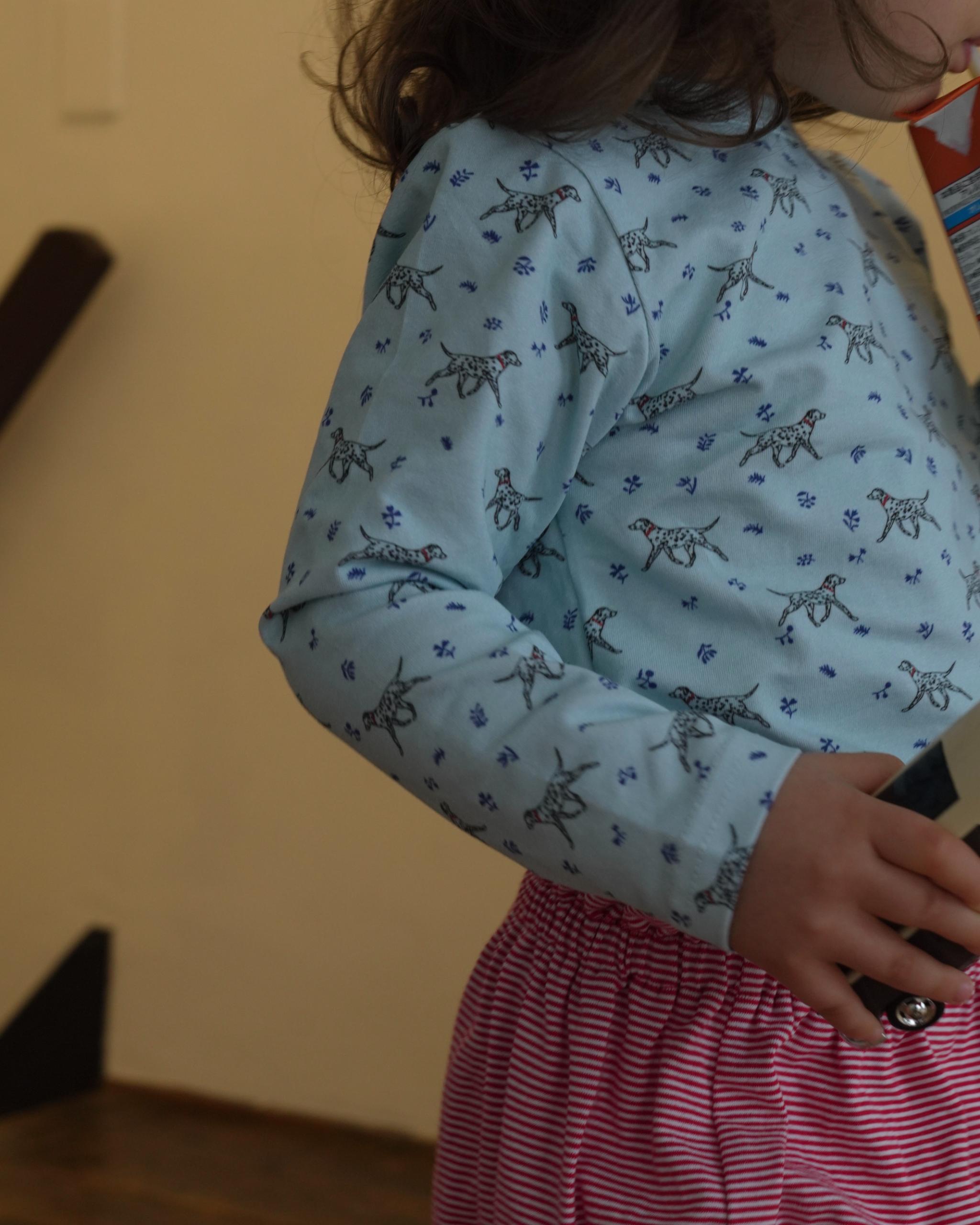 camilapole  Dalmatian Day Top